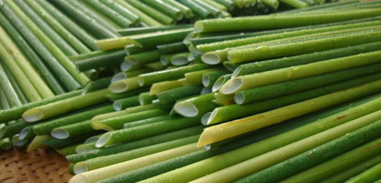 Straws Made Of Wild Grass