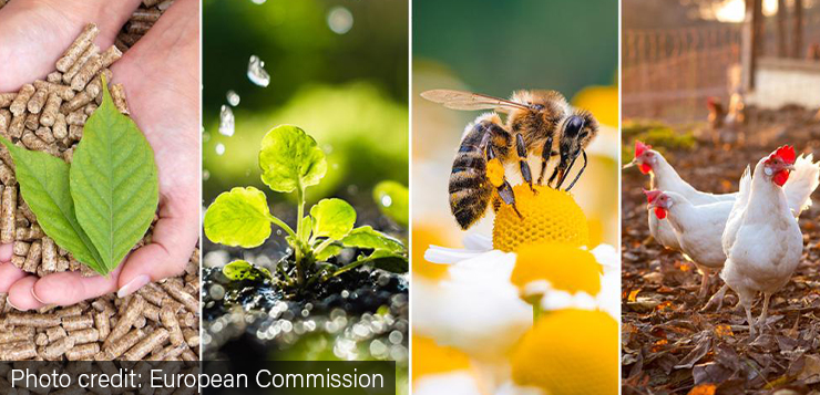 Sustainable agricultural practices and methods”