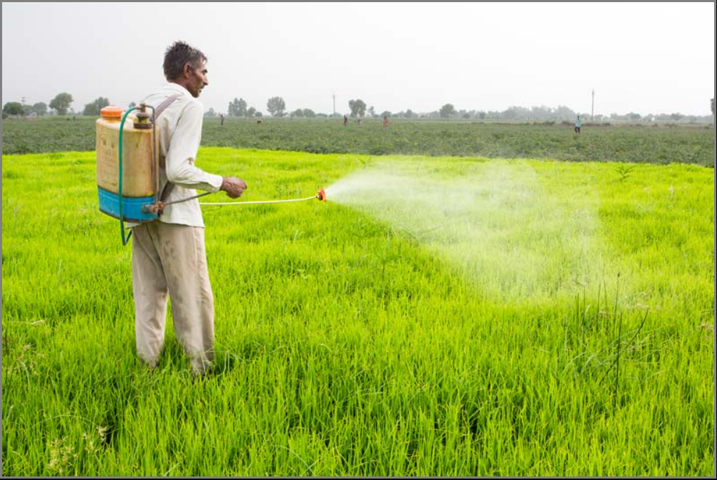 Europe's greenwashing standards target pesticide use