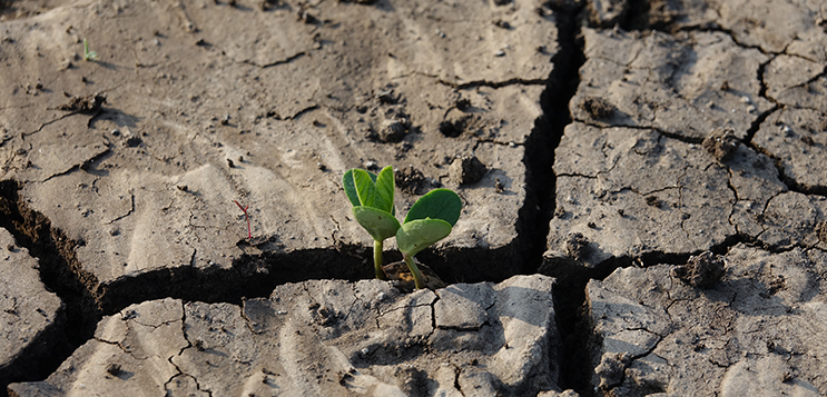 Europe Greenwashing Global South into economic depression
