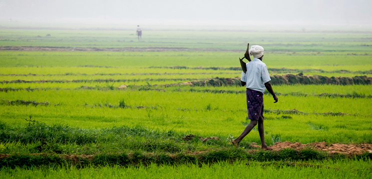Cost of compliance for Indian farmers is very high