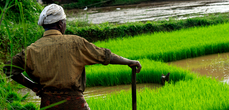 MRL divide between Europe & India