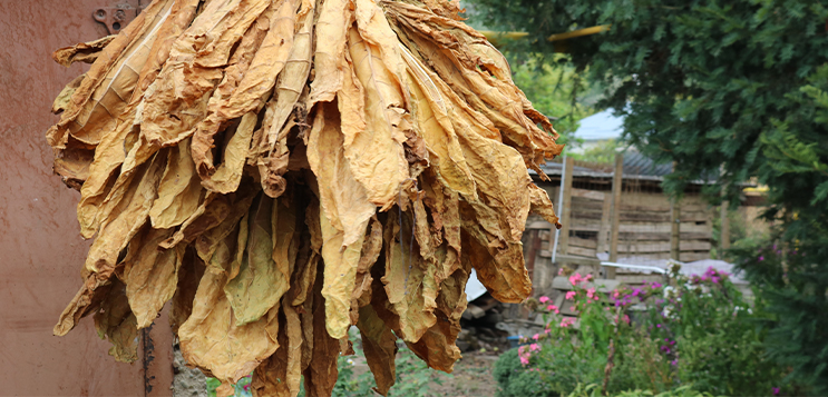 EGD sensitisation workshop in Andhra Pradesh