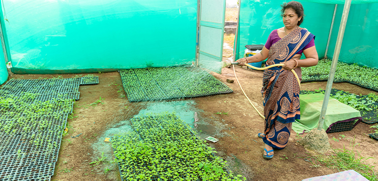 50 year old pesticides in a modern India?