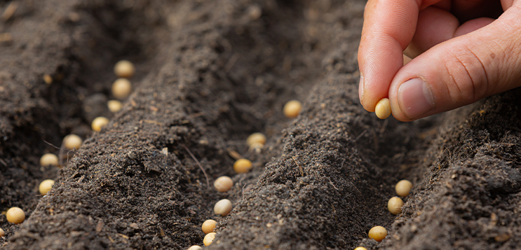 Seed management bill of India