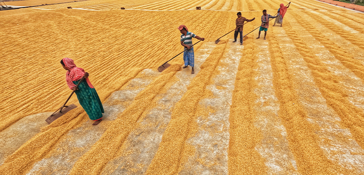 Failure of Indian farming