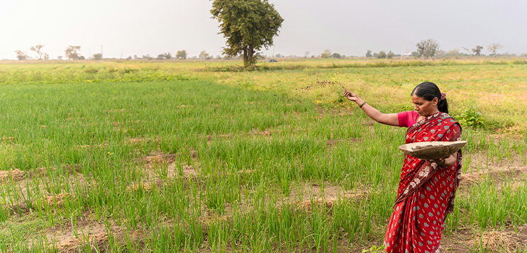 Indian biopesticides are now essential