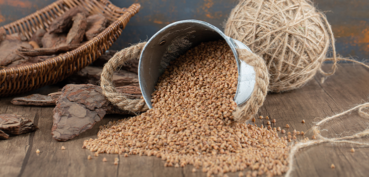 India's new seed bill might ruin your food