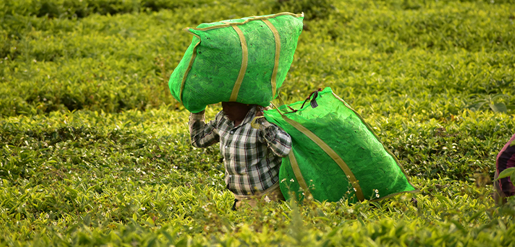 India's cheap labour may prove to be costly