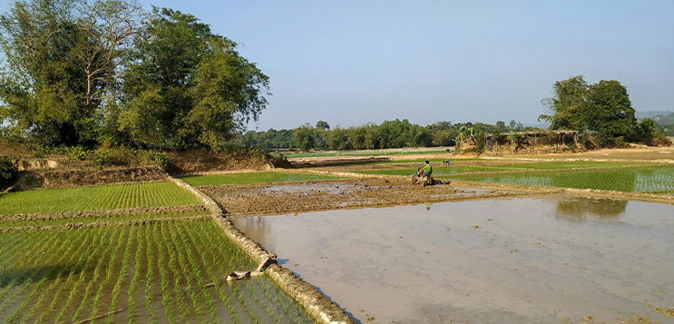 Groundwater is India's newest trade barrier