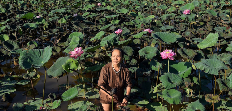 Is lotus silk sustainable?