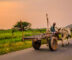 Agriculture bonds in India