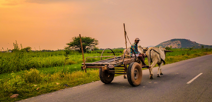 Agriculture bonds in India