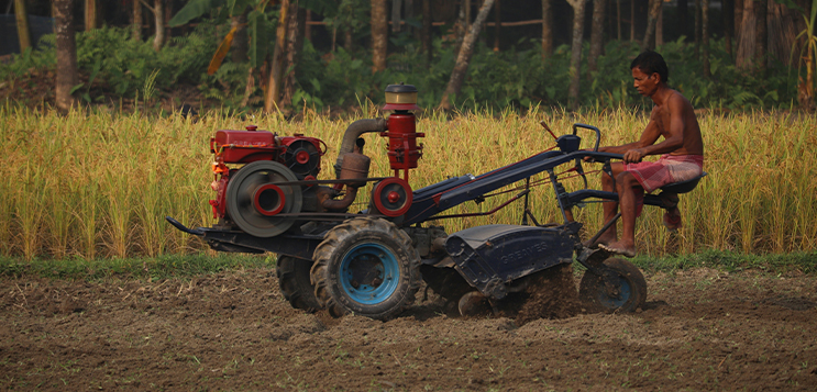 Modern agronomy in India