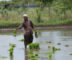 Will India be able to meet the labour rights of Europe?