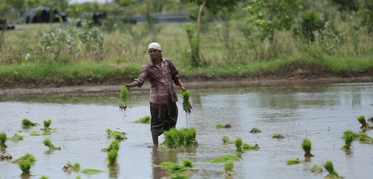 Will India be able to meet the labour rights of Europe?