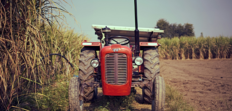 How much sugarcane until the water runs out?