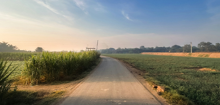 How much sugarcane can India afford?
