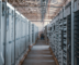 Indian data centres are consuming too much water